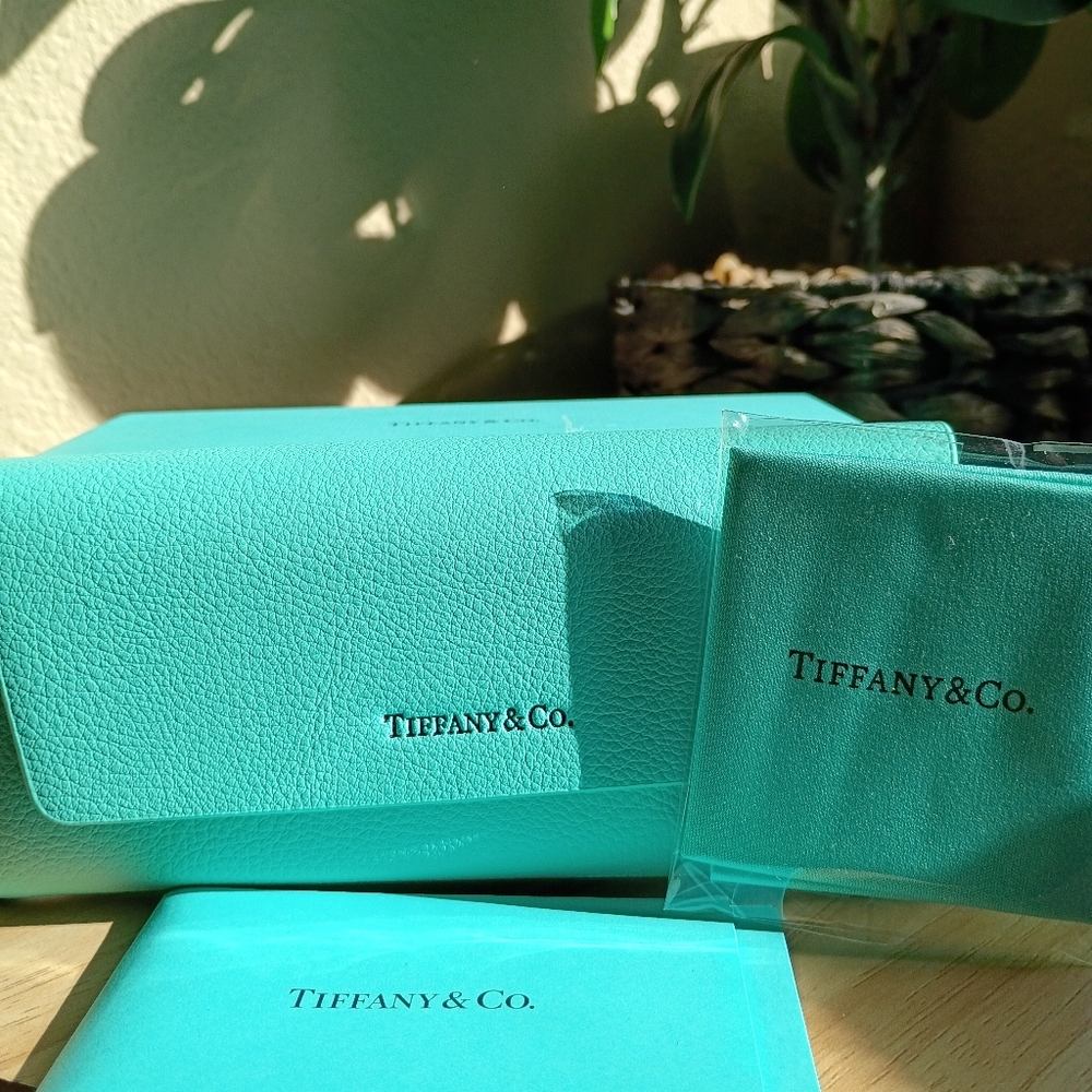 Tiffany & Co. Blue Eyeglasses Case - Picture 4 of 15